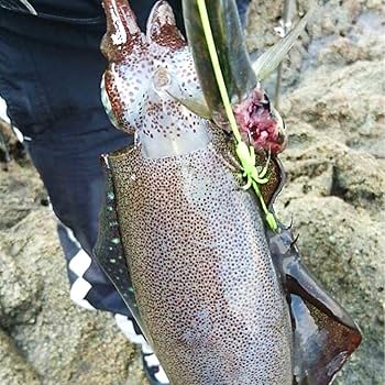 美品　初代 バトルゲームアオリワン　ダイワ　ヤエン Yahoo!オークション -「バトルゲームアオリワン」の落札相場・落札価格