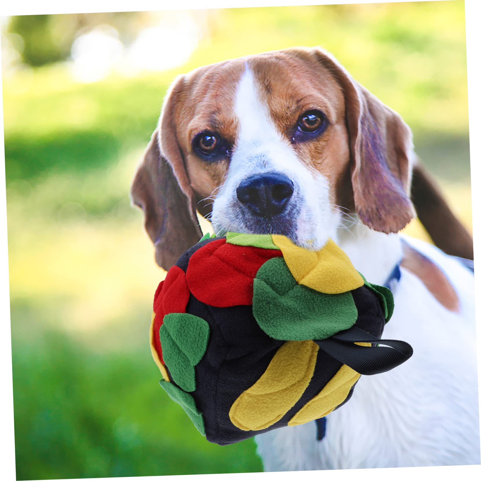 Sosoport 2stücke Hundeschnüffelball Aus Interaktives Futterspielzeug Für Hunde Fördert Spiel Und Training Für Kleine Und Große Hunde Vintage