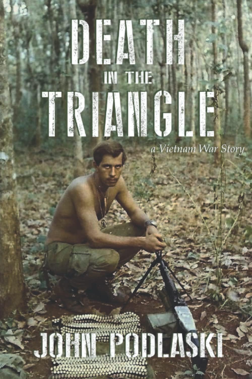 Death in the Triangle: A Vietnam War Story