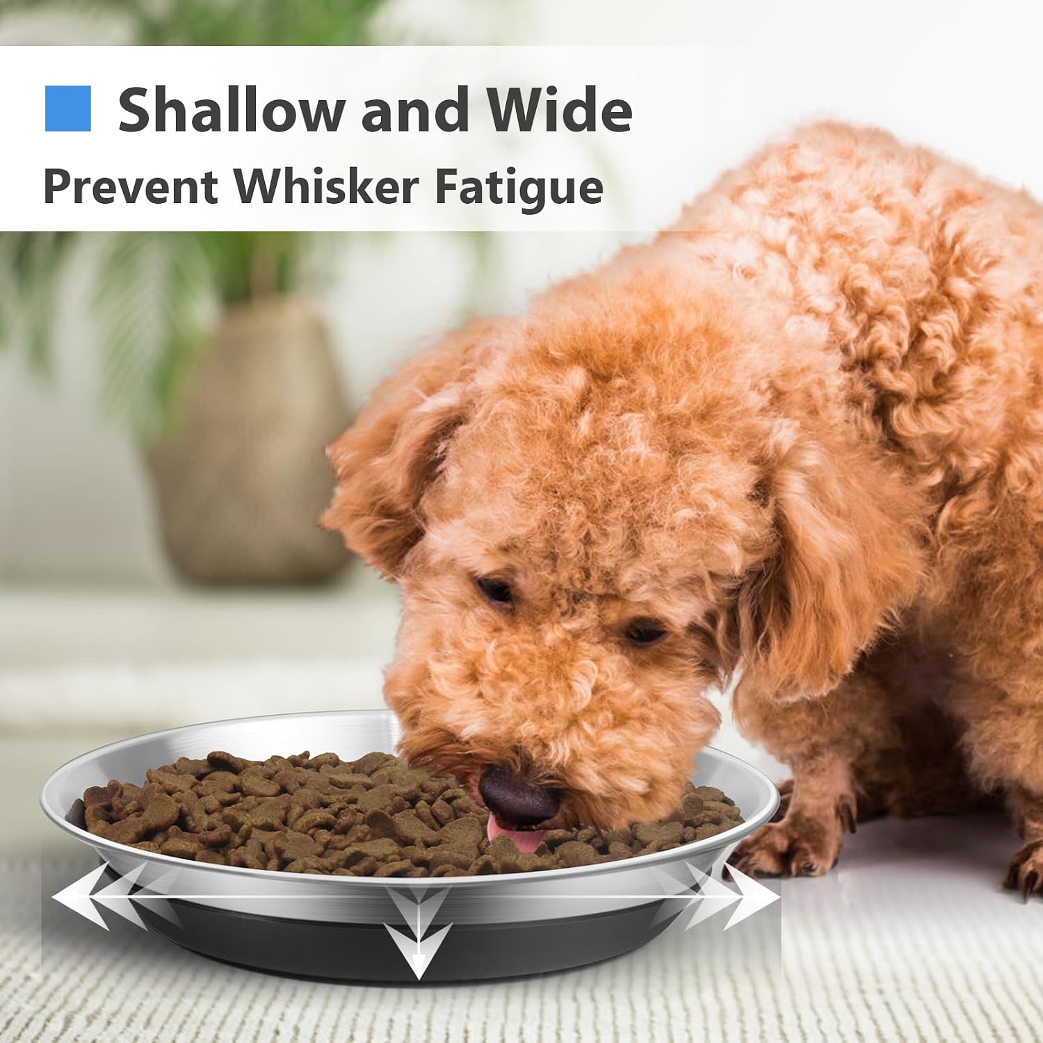 2 Packs Premium Stainless Steel Dog Bowls - Non-Slip, 2.5 Cups Capacity, Durable and Safe for Your Beloved Pet image 4