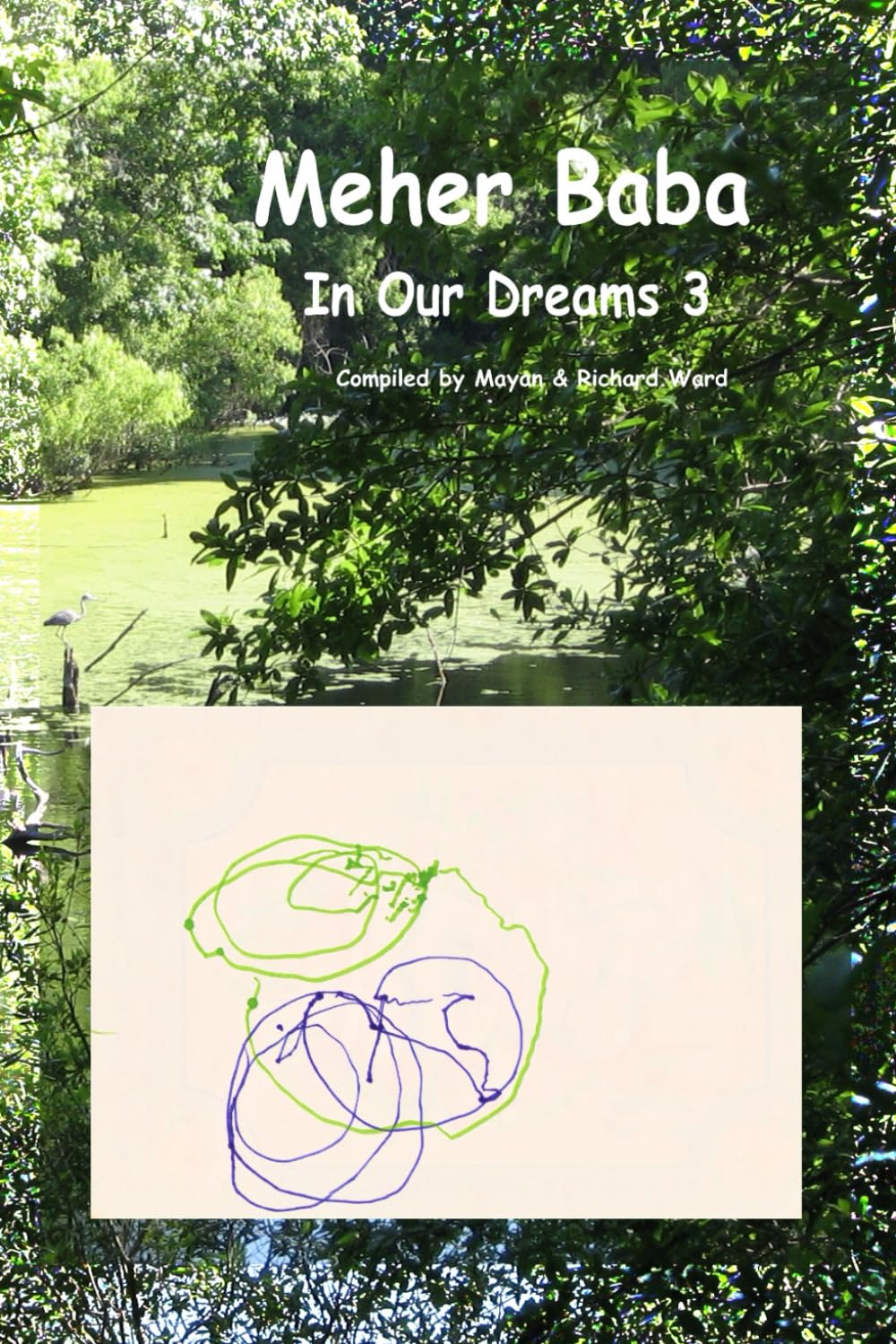 Meher Baba In Our Dreams 3 Paperback – October 17, 2023