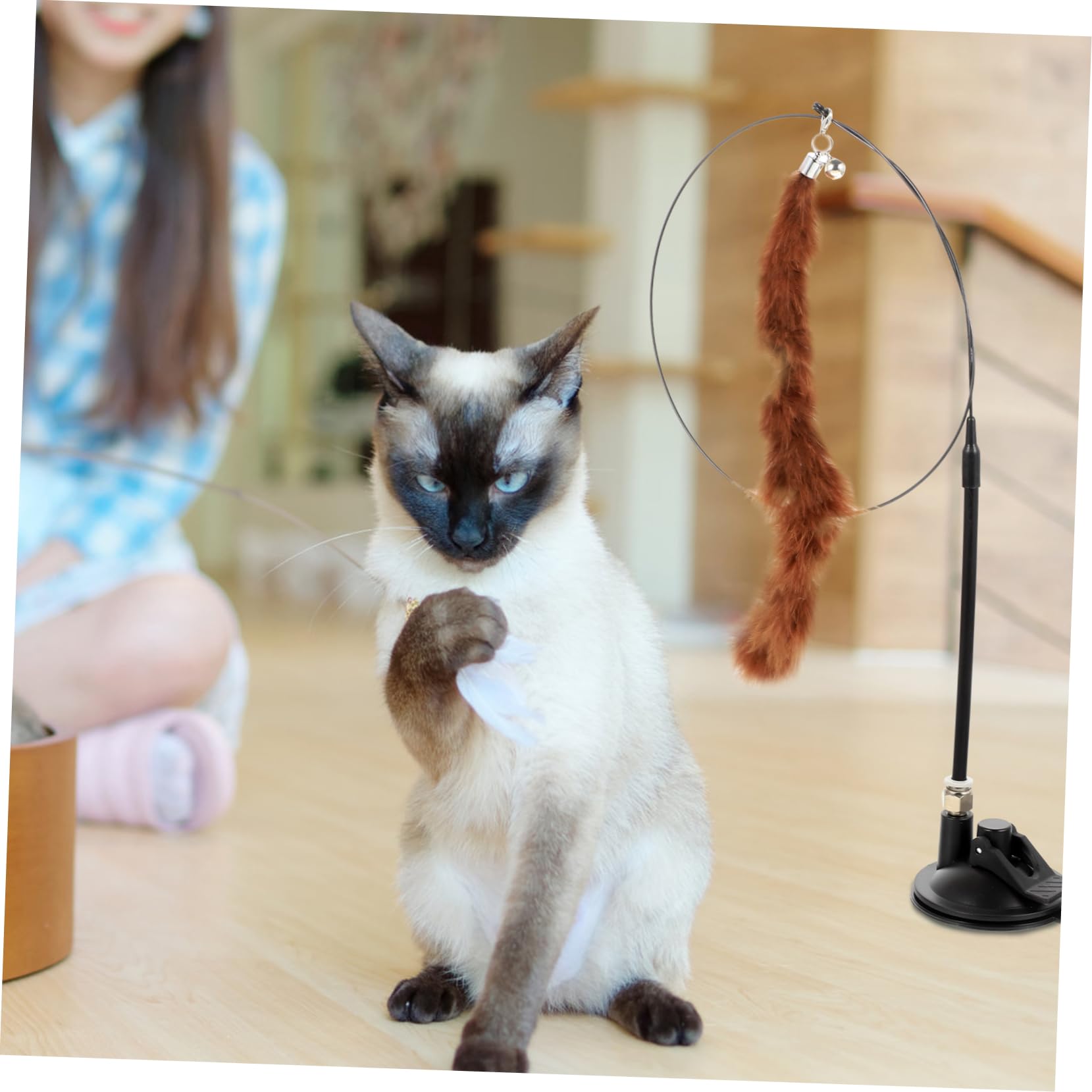 INOOMP 24stücke Katzenspielzeug Teiliges Plüsch Teaser-Sticks Für Katzen Interaktive Spielzeuge Mit Saugnapf Selbstspiel Und Unterhaltung Für Haustiere Stimuliert Die Neugier Und