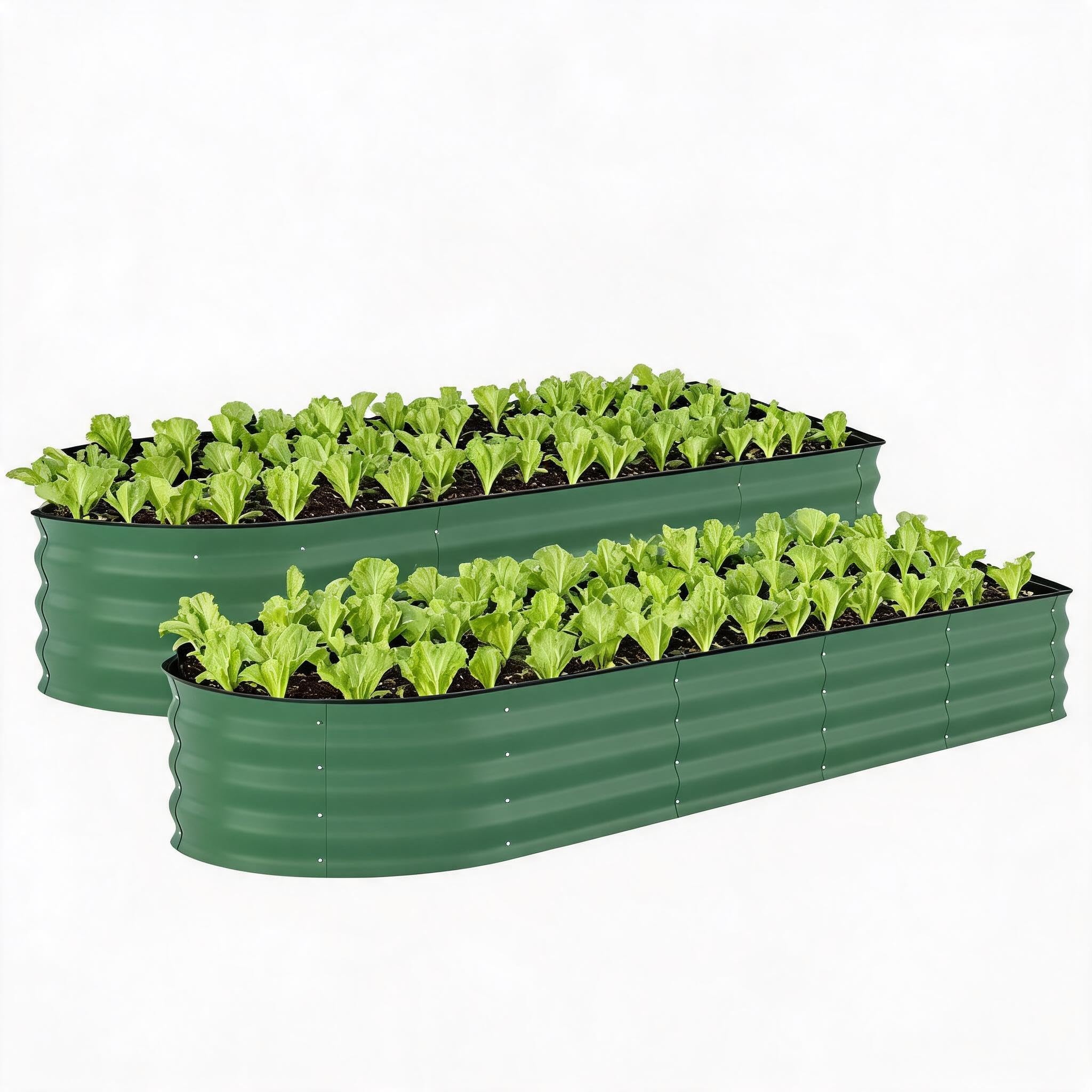 Aptliton 2-Pack Oval Raised Garden Bed, 240×60×60cm Galvanised Steel Planter Box with Anti-Cut Strips, Large Bottomless Metal Raised Bed for Vegetables Flowers Herbs, Green