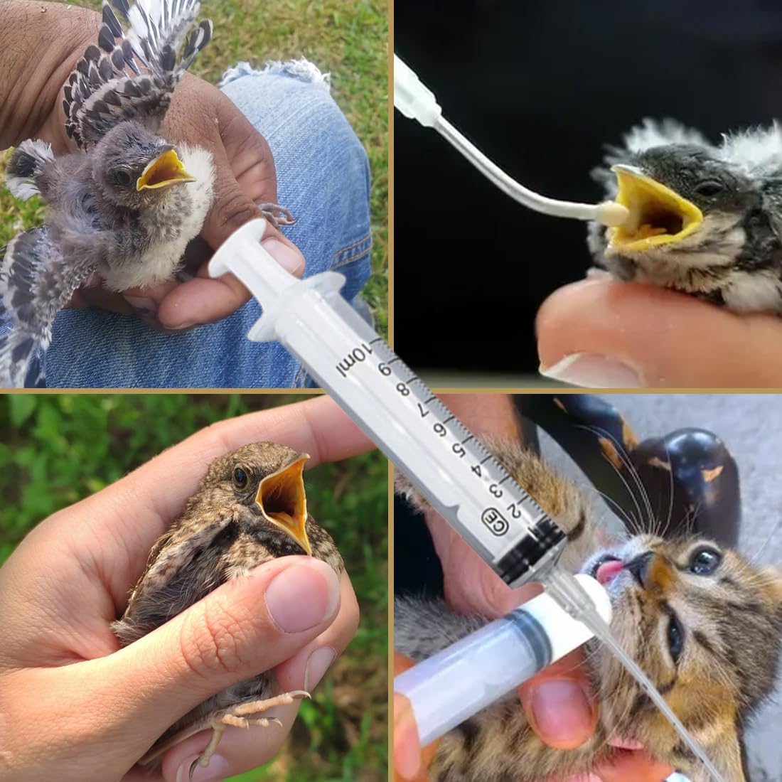 20 Pezzi Alimentatore Pappagalli Trasparente Uccelli Alimentazione Tubi Veloce Alimentazione Tubo Siringa per Bambino Pet Uccelli