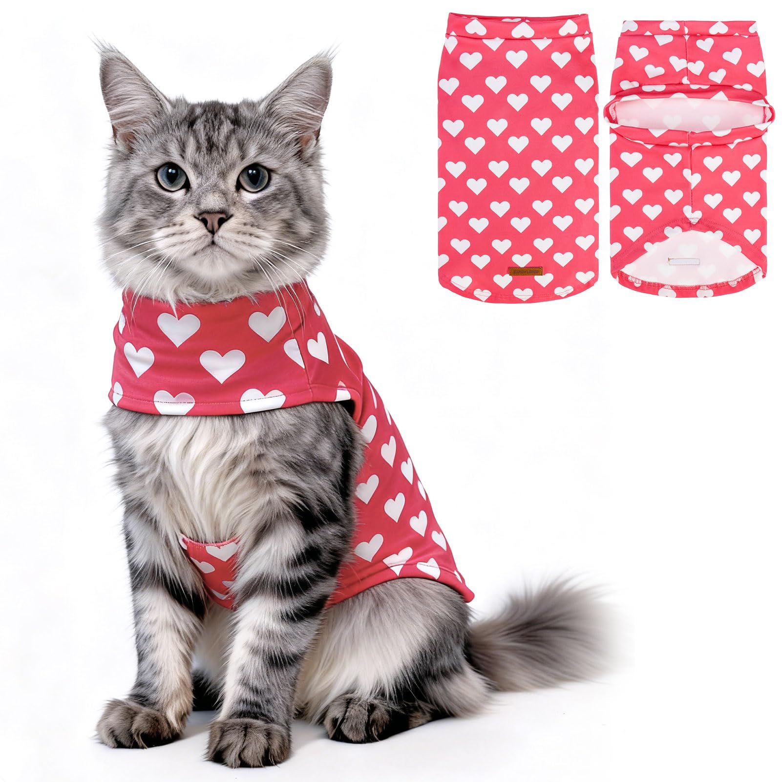 Pull pour chats uniquement EXPAWLORER idéal pour les siestes d'hiver