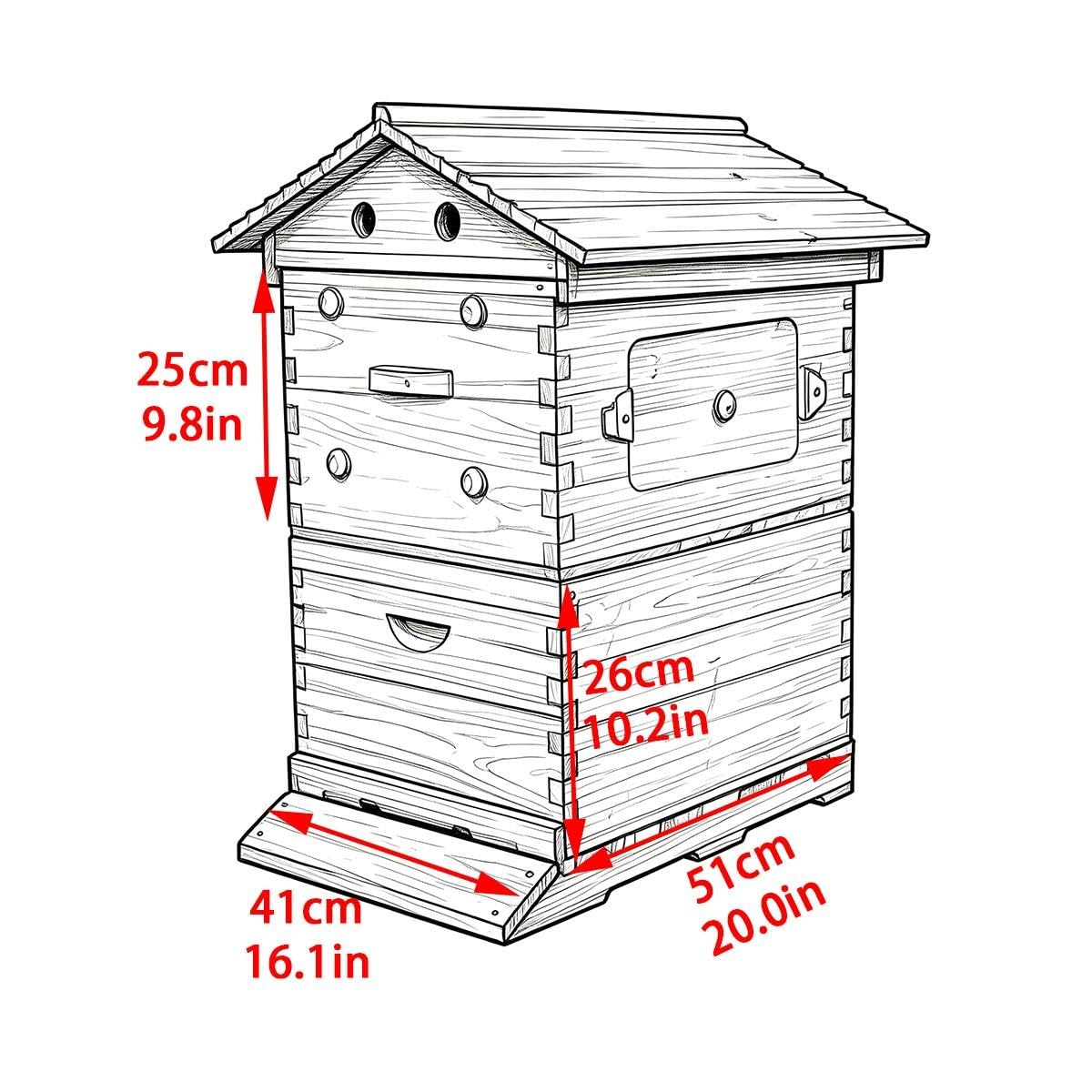 Ruche, Petit Kit de Démarrage en Bois avec Fenêtre d‘Observation
