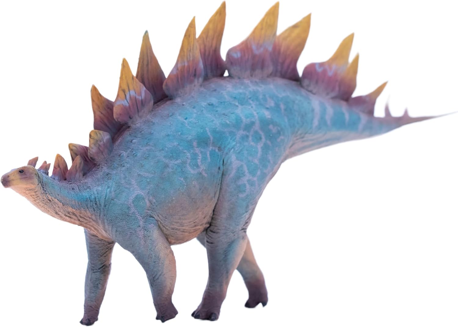 New Stegosaurus 1：35 Science and Art Model (Hao Si Wen)