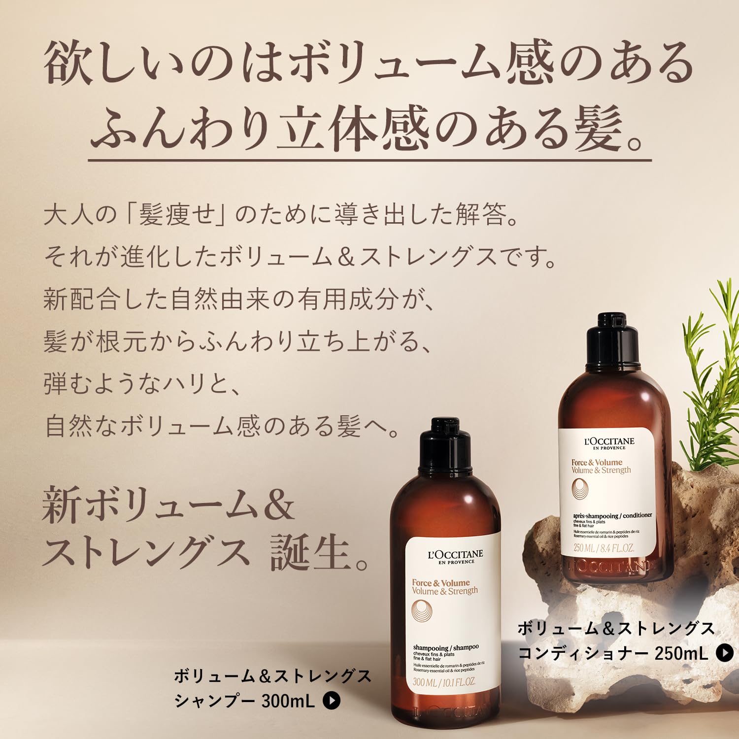 Amazon.co.jp: ロクシタン(L'OCCITANE) ボリューム&ストレングス