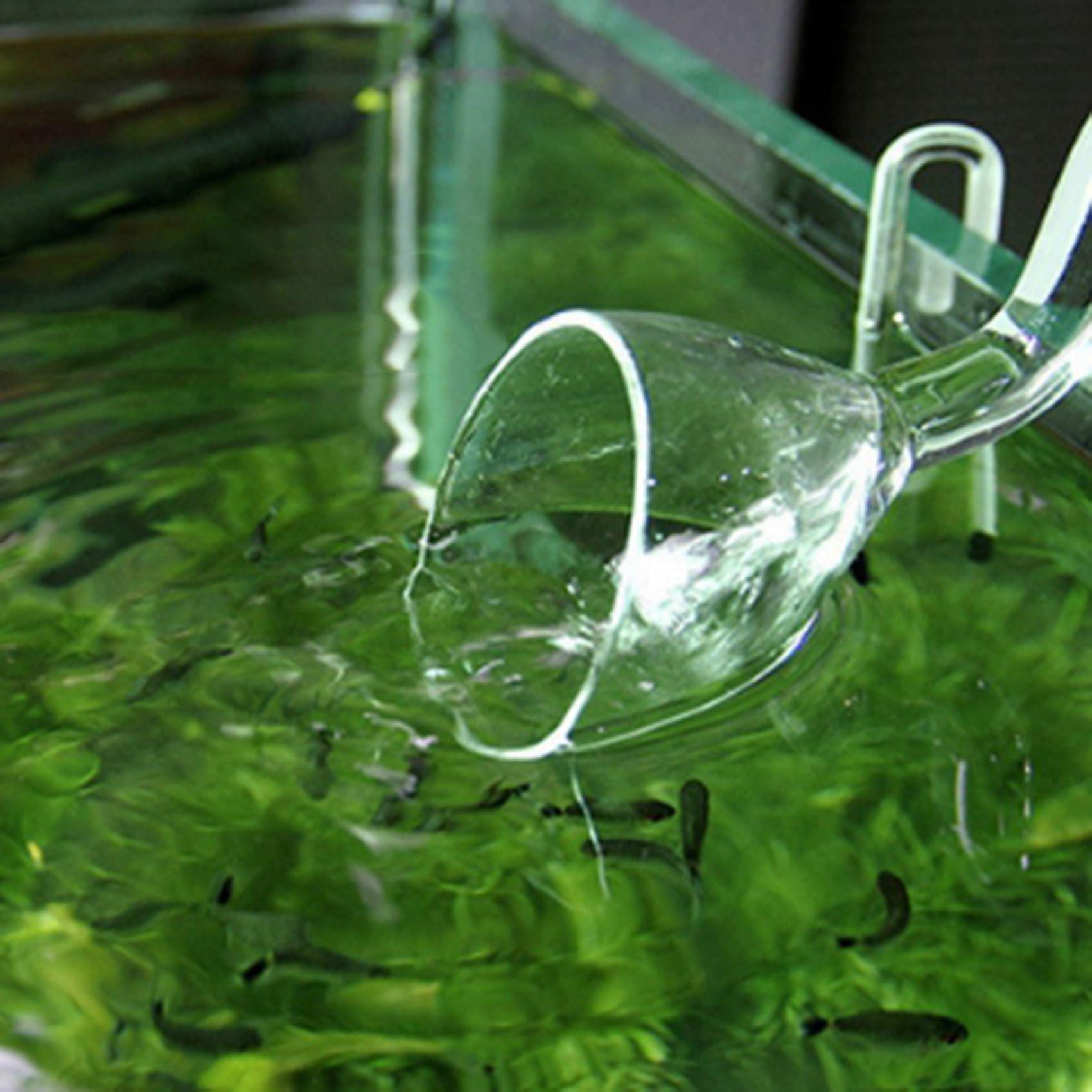 3pz 16 mm Acquario Vetro Afflusso Deflusso Tubo di Giglio Tubo Serbatoio di Pesce Set di Tubi Flessibili con Filtro per Piante Acquatiche Acquatiche
