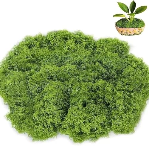 HZLXF1 30/500G Artificial Moss Grass Eternal Life Green Moss Lawn Landscape Fake Grass DIY Craft Faux Preserved Plant Moss Garden Decor(Light Green-50G)