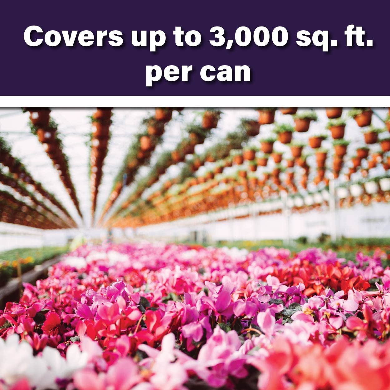 Buy Pyrus TR Greenhouse Fogger (2oz) Total Release Pyrethrin