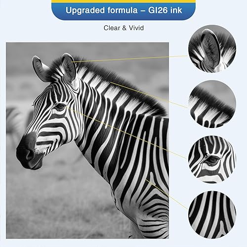 Miniatura 7 de GI-26 GI26 Botellas de tinta negra compatibles con botellas de repuesto de tinta Canon 26 GI-26 GI26, compatible con Canon MAXIFY GX7021 GX6021