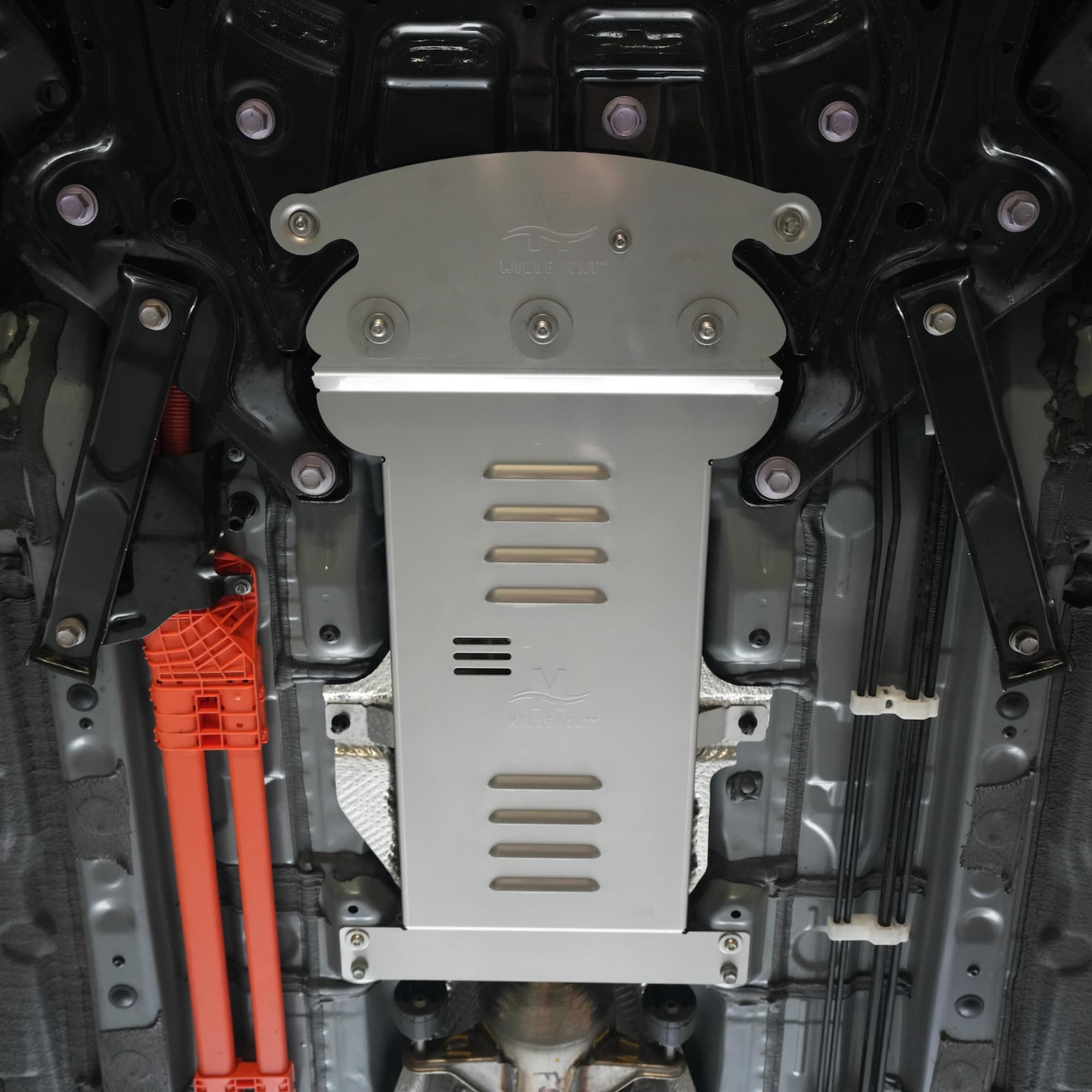 Amazon.com: Anti-Theft Cat Shield, Fits 2023-2025 Toyota