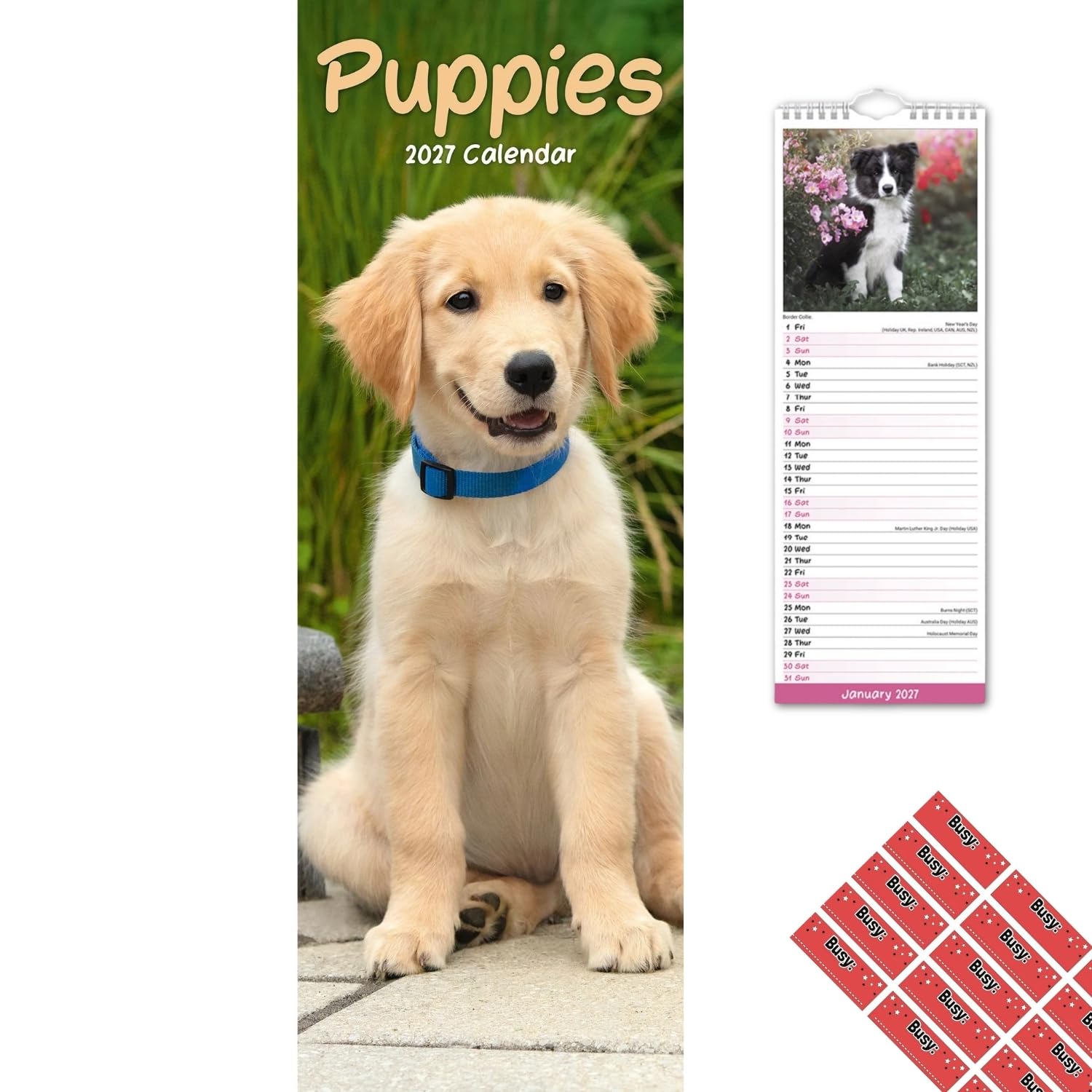 Avonside Puppies 2027 Slimline Calendar with Organisational Stickers