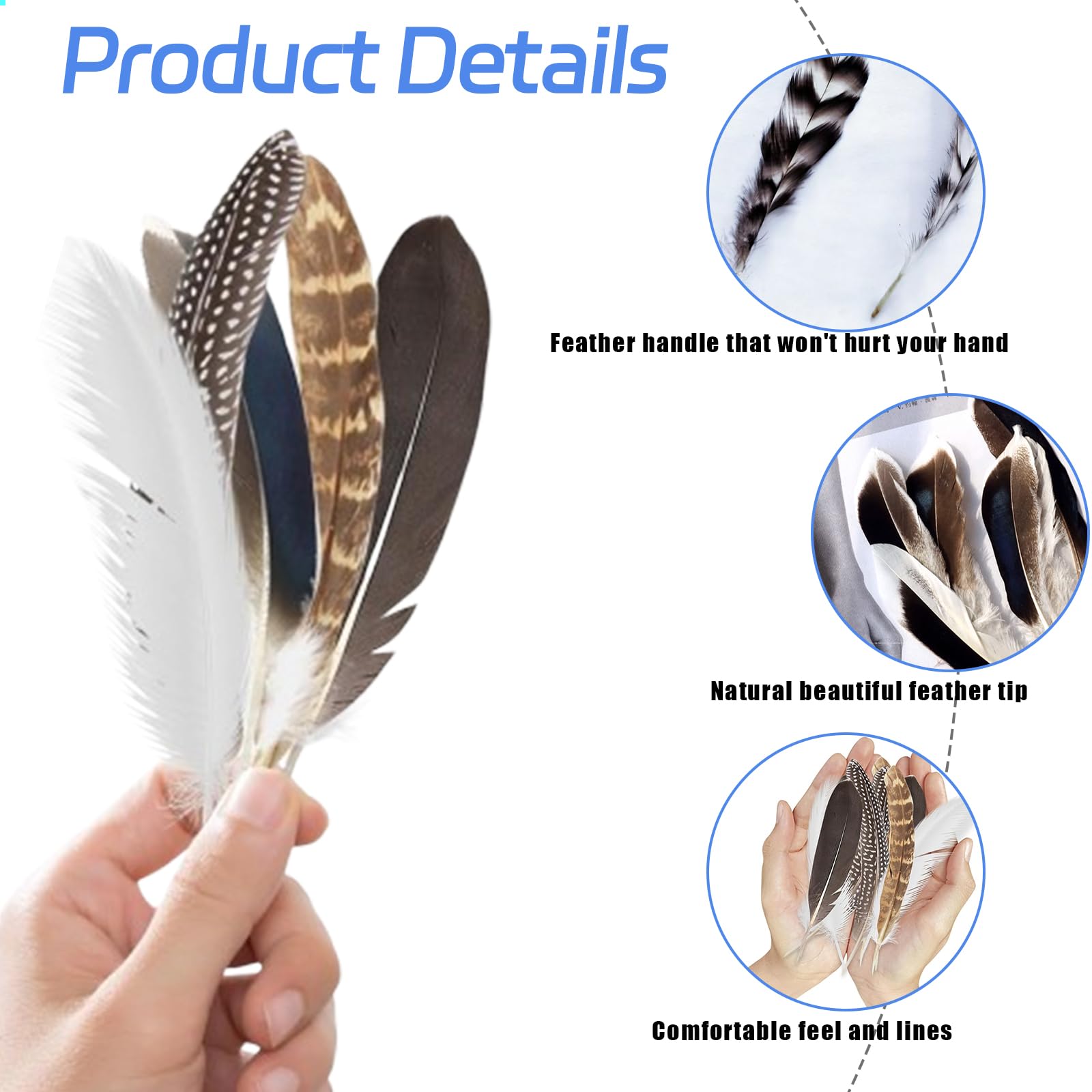 Lot De 48 Plumes Naturelles Multicolores - Pour Bricolage, Costumes, Décoration Mariage, Carnaval