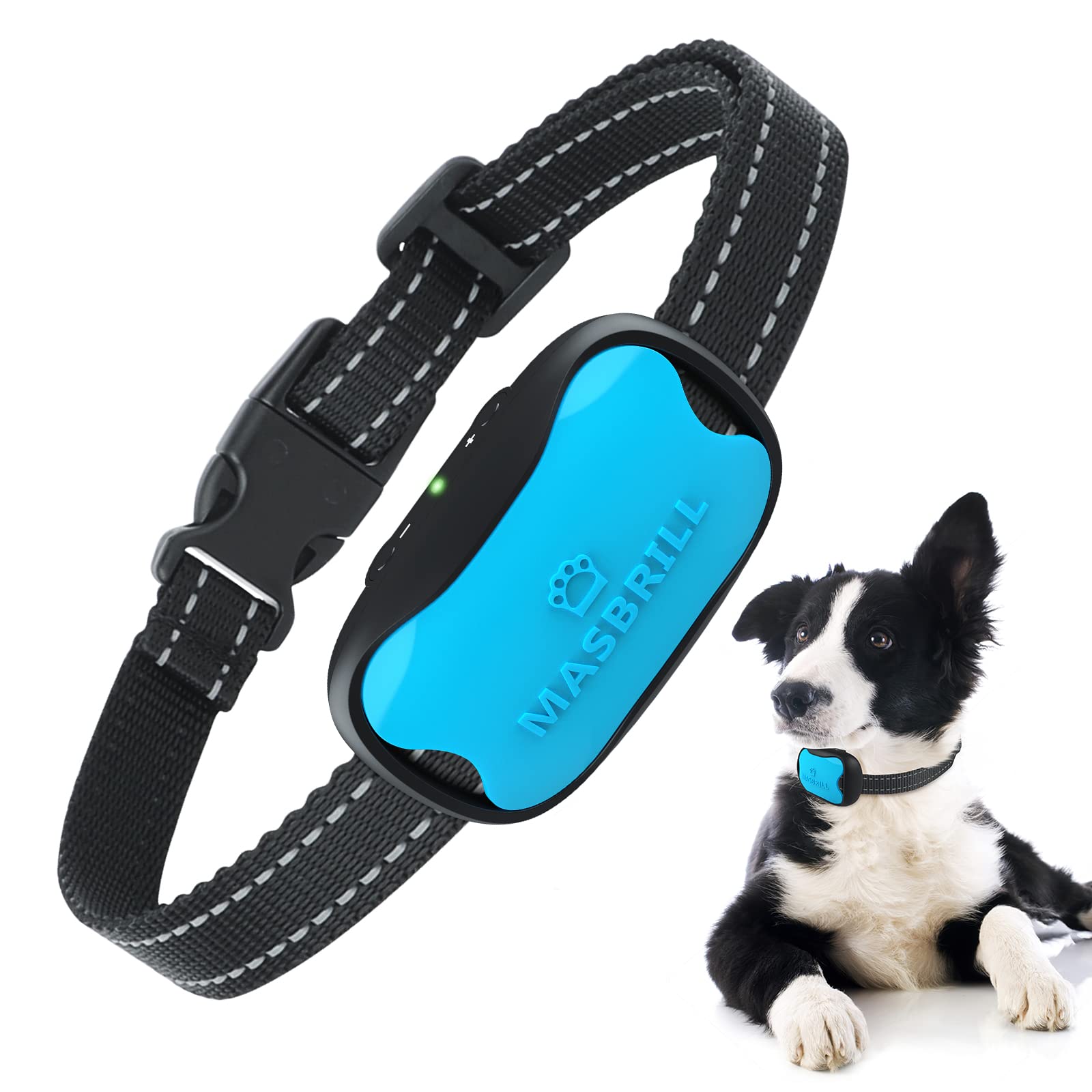 Are Vibration Bark Collars Humane