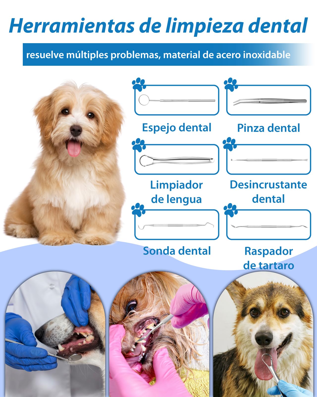 Kit de Limpieza de Sarro Dental Ultrasónico para Perros y Gatos, Detartrador Cepillos Ultrasónicos de Dientes Quita Manchas Limpiador, 5 Modos de Limpieza de Limpieza para Mascotas (Negro)