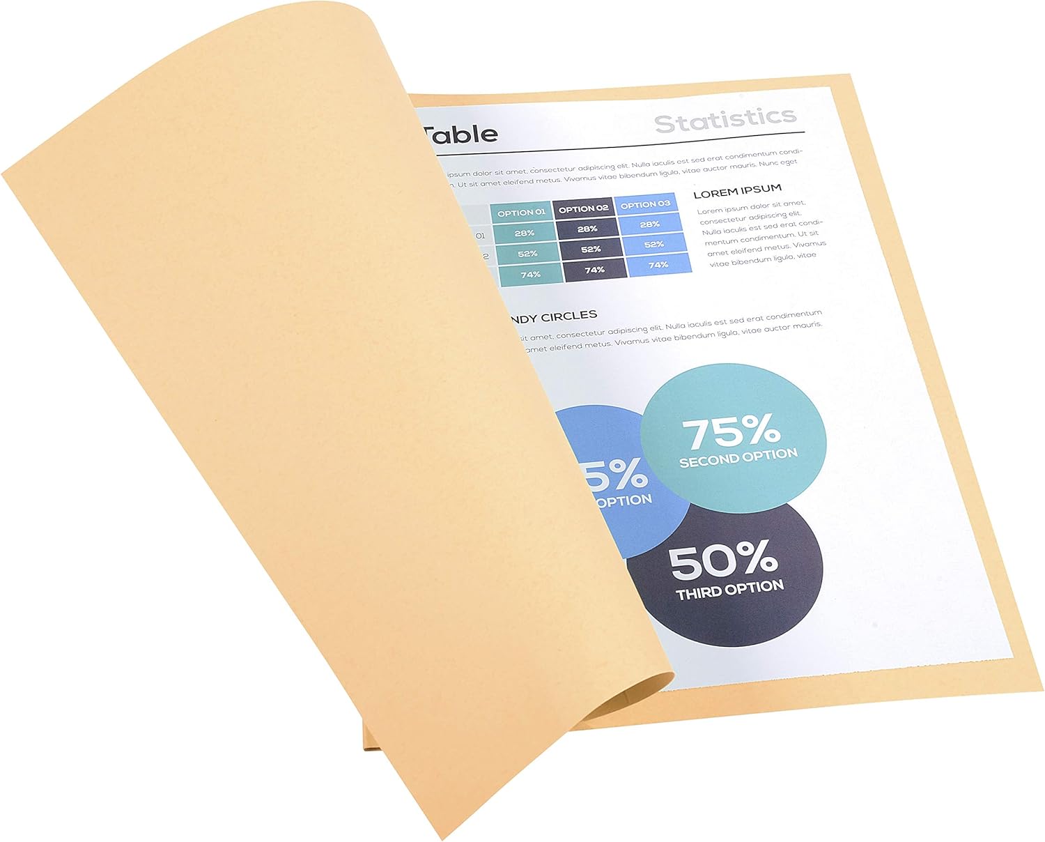 Exacompta - Ref 410002E - Forever Collection - Recycled Square Cut Folder - A4 (210 x 297mm), 220gsm Recycled Board, Blue Angel Certified - Buff (Pack of 100)