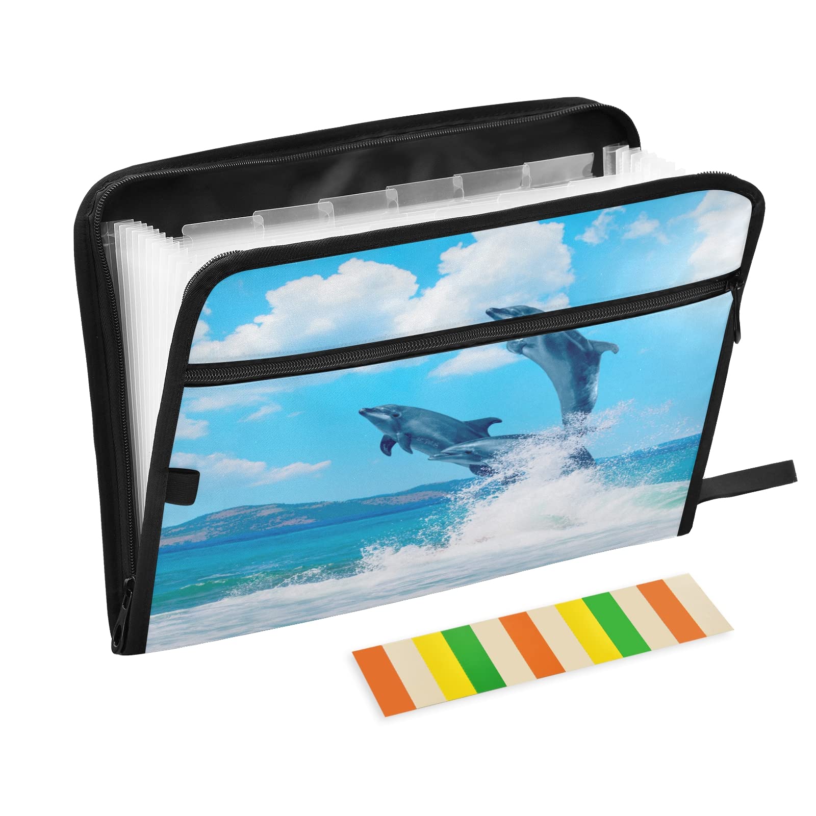 Buy Moyyo Dolphins Jumping Out of Water Expandable File Organiser with