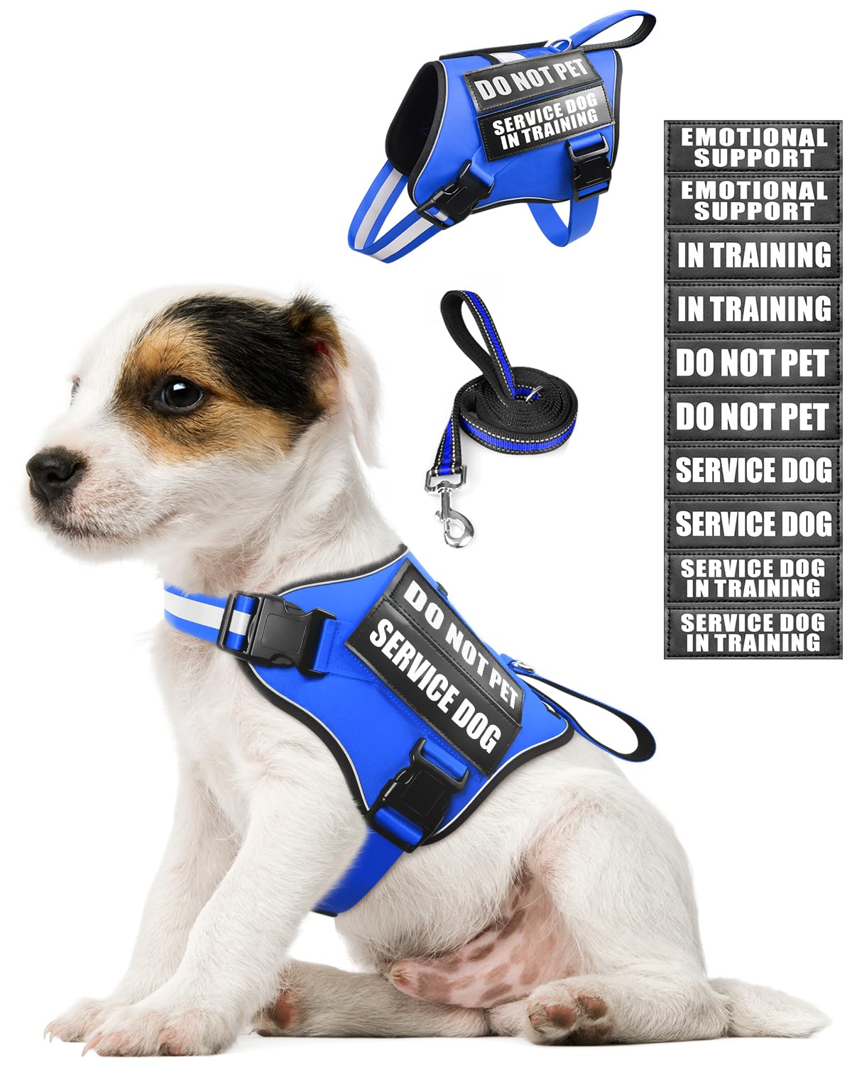 MOOGROU Service Dog Vest Harness and Leash Set+10 Patches for Puppy Small Dogs,Do Not Pet Emotional Support Dog Vest with 2 Soft Padded Handle for Everyday/Training (Blue XS)