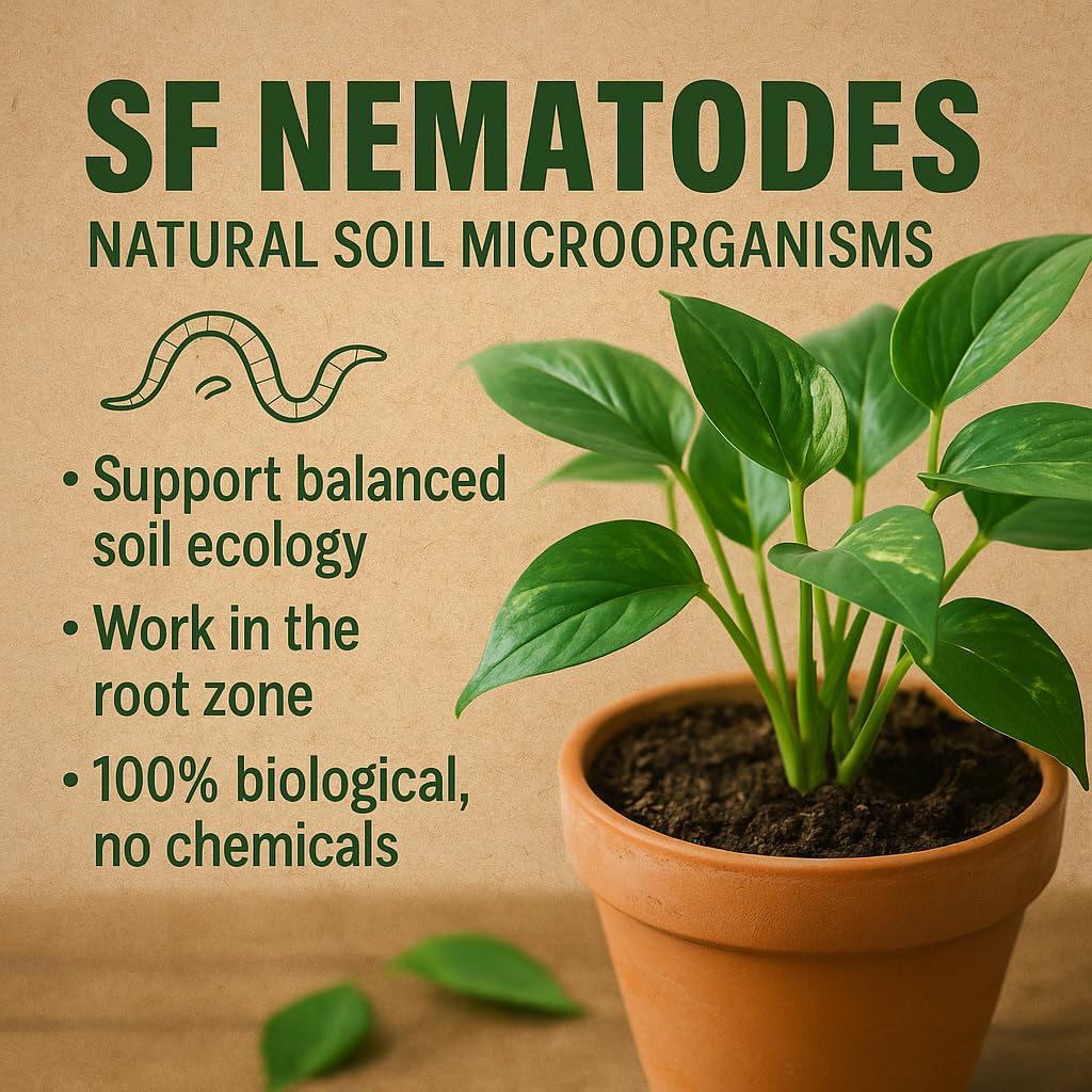 GiDeli SF Nematoden gegen Trauermücken 100 Mio, 1000 Pflanzen / 100 m²