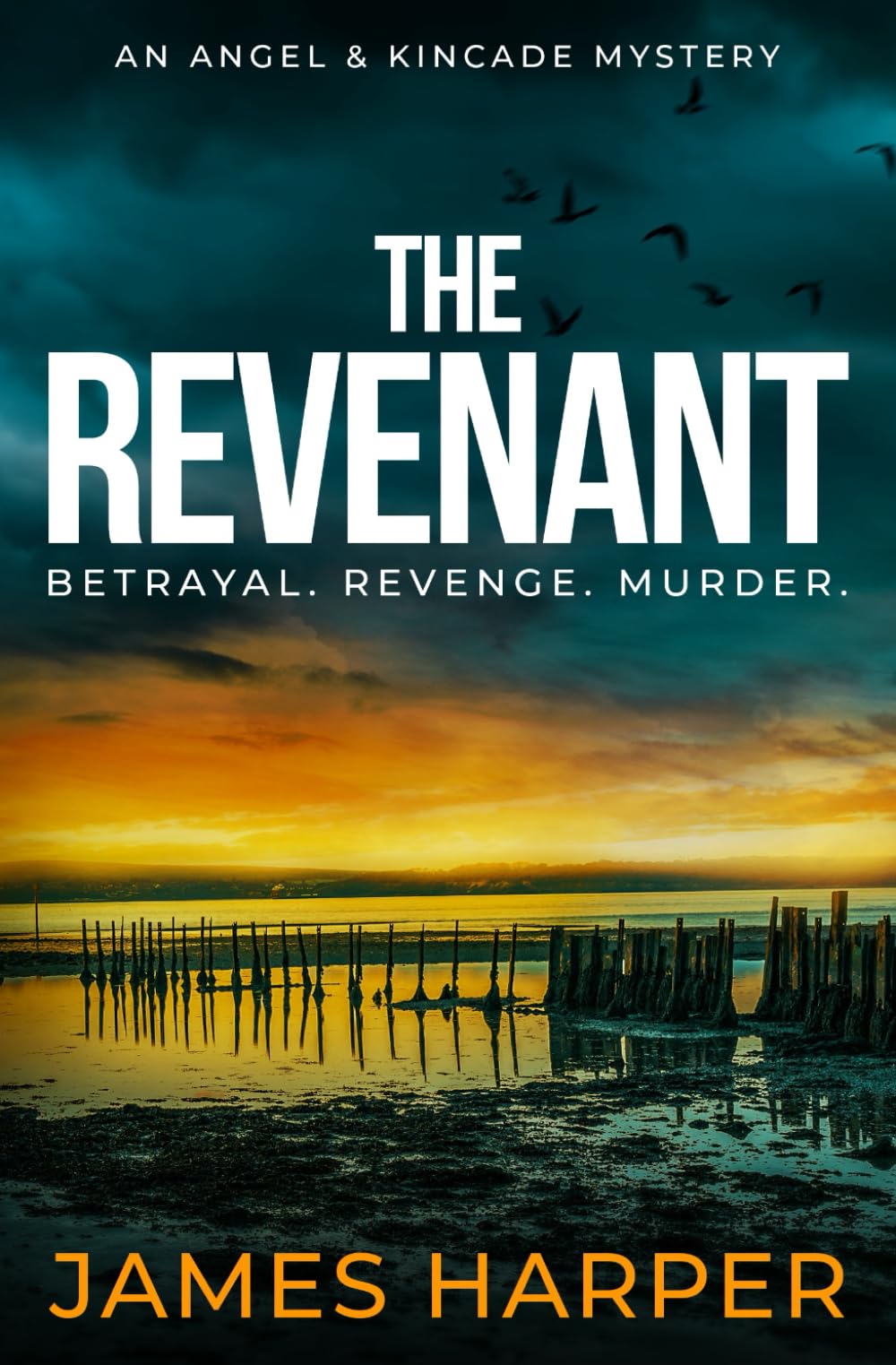 The Revenant: An Angel & Kincade Mystery (Angel & Kincade Murder Mysteries)