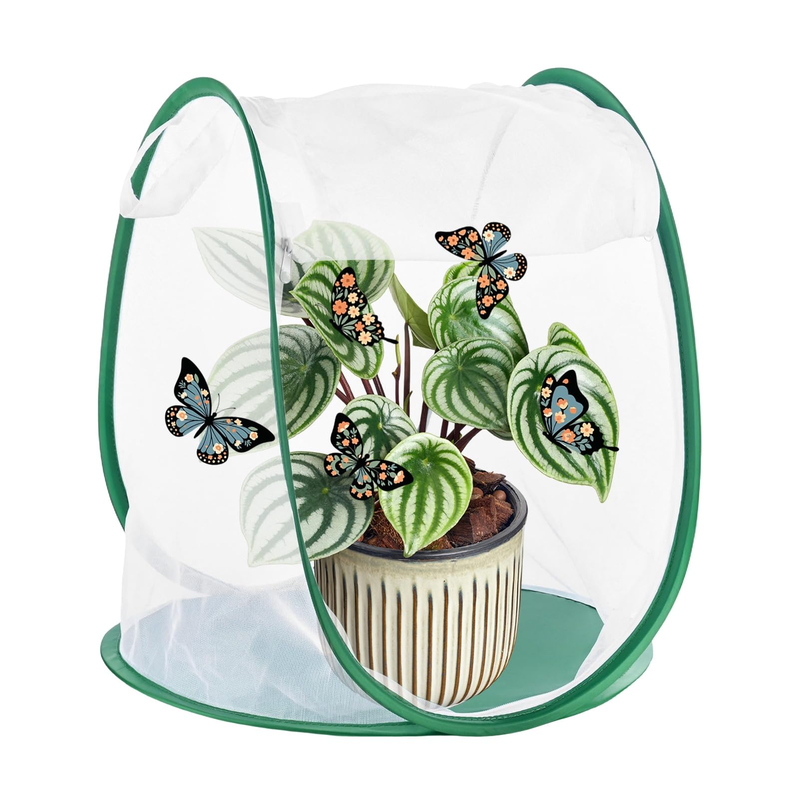 M METERXITY Butterfly Habitat Cage Terrarium, Outdoor Collapsible Mesh Pop-up with Zipper Protection for Breeding Butterfly/Ladybug, Mesh Plant Enclosure [White with Green, 13 x 13 x 15 Inch]
