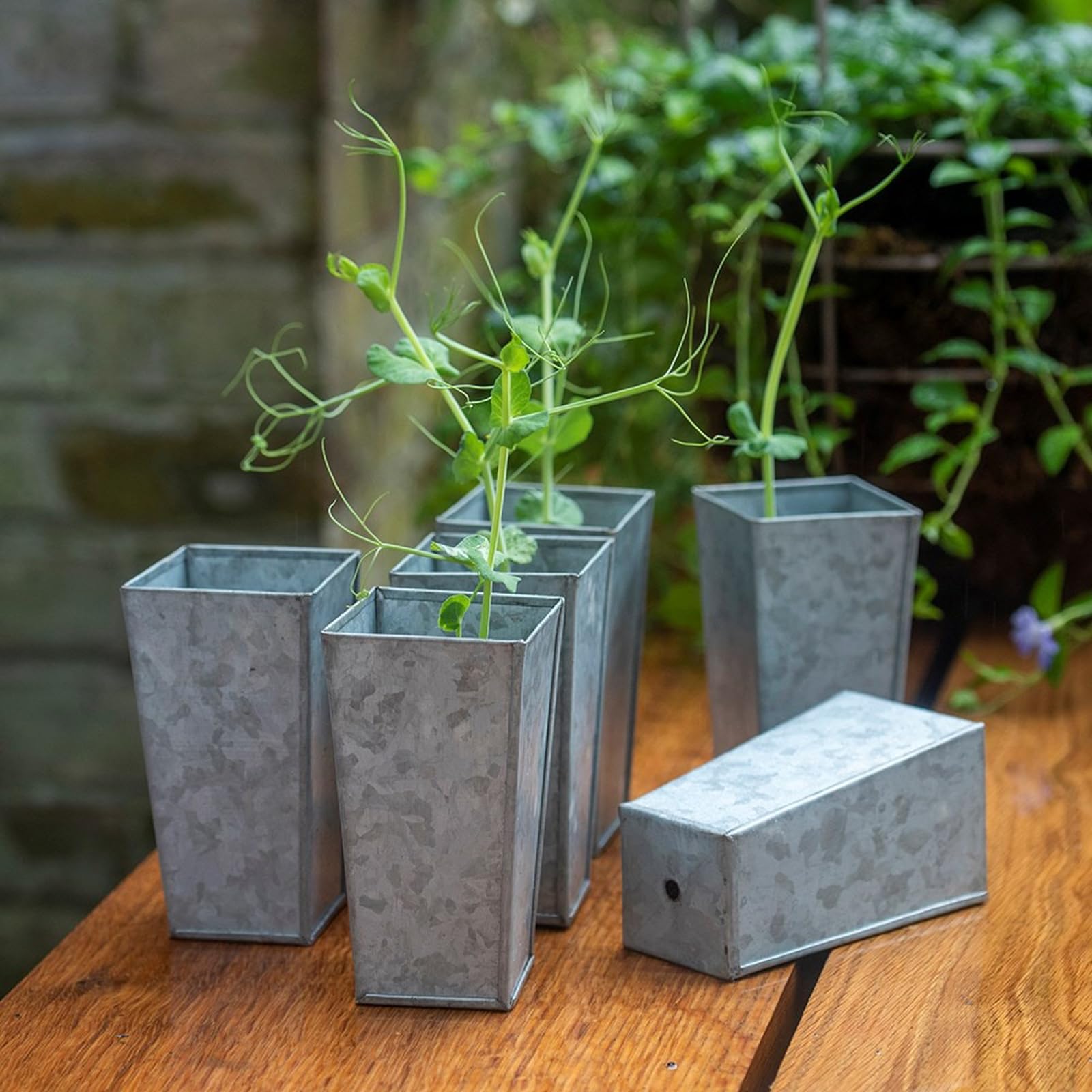 Crocus Collection 12cm Metal Planter Root Trainer Flower Pots Deep Rooting Seed Planting Rootrainers