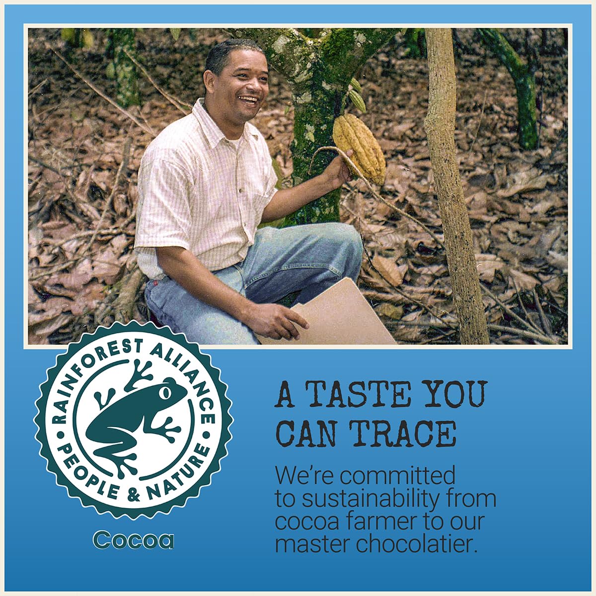 Chocolove Peppermint Dark Chocolate Bars | 55% Cocoa | Crafted in Semi-sweet Premium Chocolate | Non GMO, Rainforest Alliance Certified, 3.2oz Bar (12 Pack)