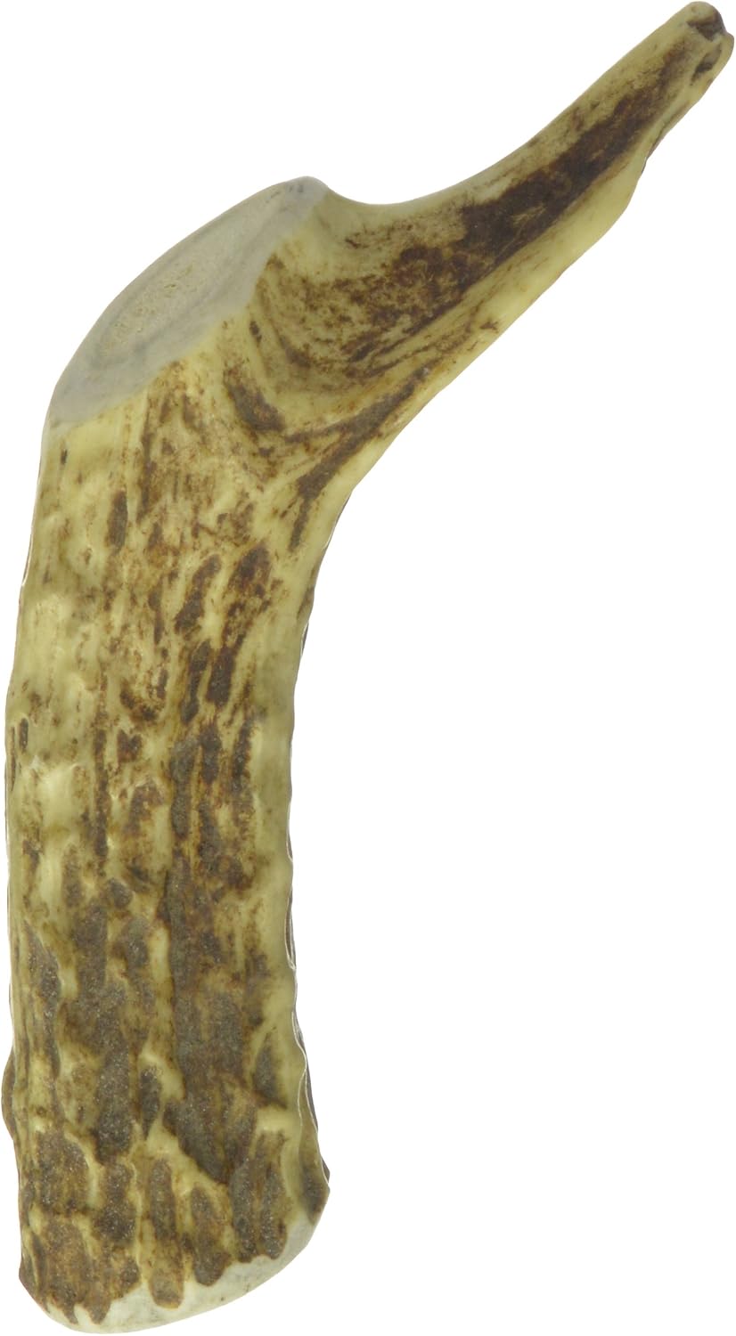 Ranch Rewards Antler Chews Dog Treat, Large, Deer