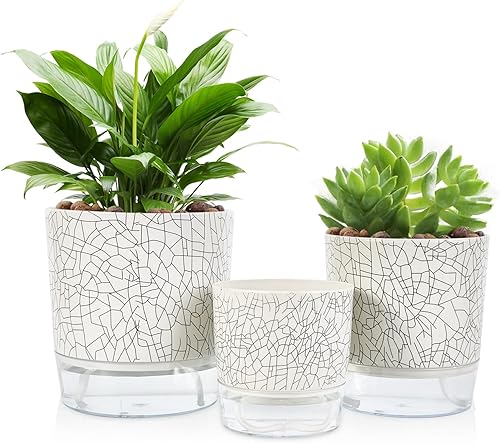 Miniatura 8 de Etvski Maceta de riego automático, 4 unidades, macetas de interior, maceta para plantas de interior, maceta de riego automático, maceta de riego