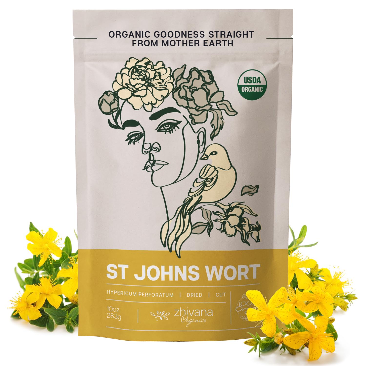 Saint John's Wort – Organic St Johns Wort Tea - Te De Hierba de San Juan Organica - St Johns Wart - St Johns Worts Plant (Hypericum Perforatum) – Large Bag 10 oz