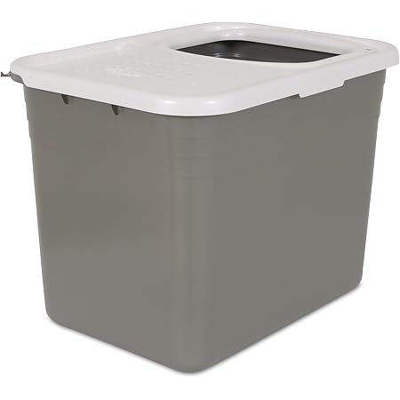 clevercat innovations