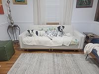 Review Image by B. Kelley B. Kelley