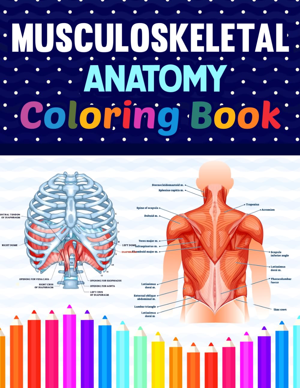 Musculoskeletal Anatomy Coloring Book: Learn Musculoskeletal Anatomy in a Fun and Easy Way. It Helpful for Human Anatomy Students and Teachers.