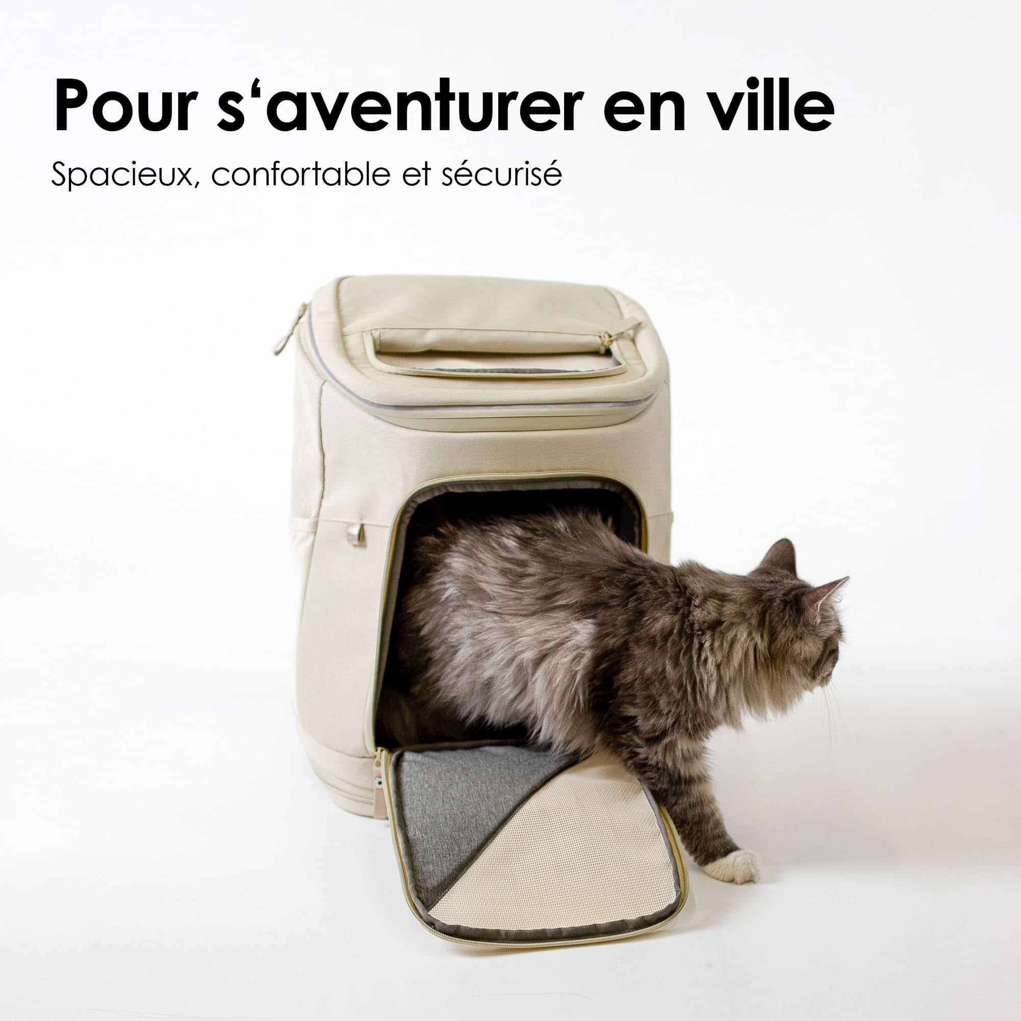 LucyBalu® Hop-on Sac à Dos de Transport pour Chat I Anthracite