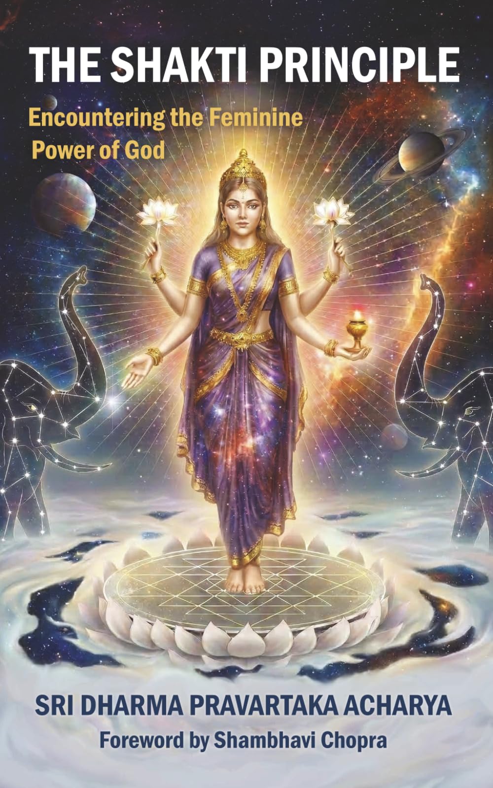 The Shakti Principle: Encountering the Feminine Power of God
