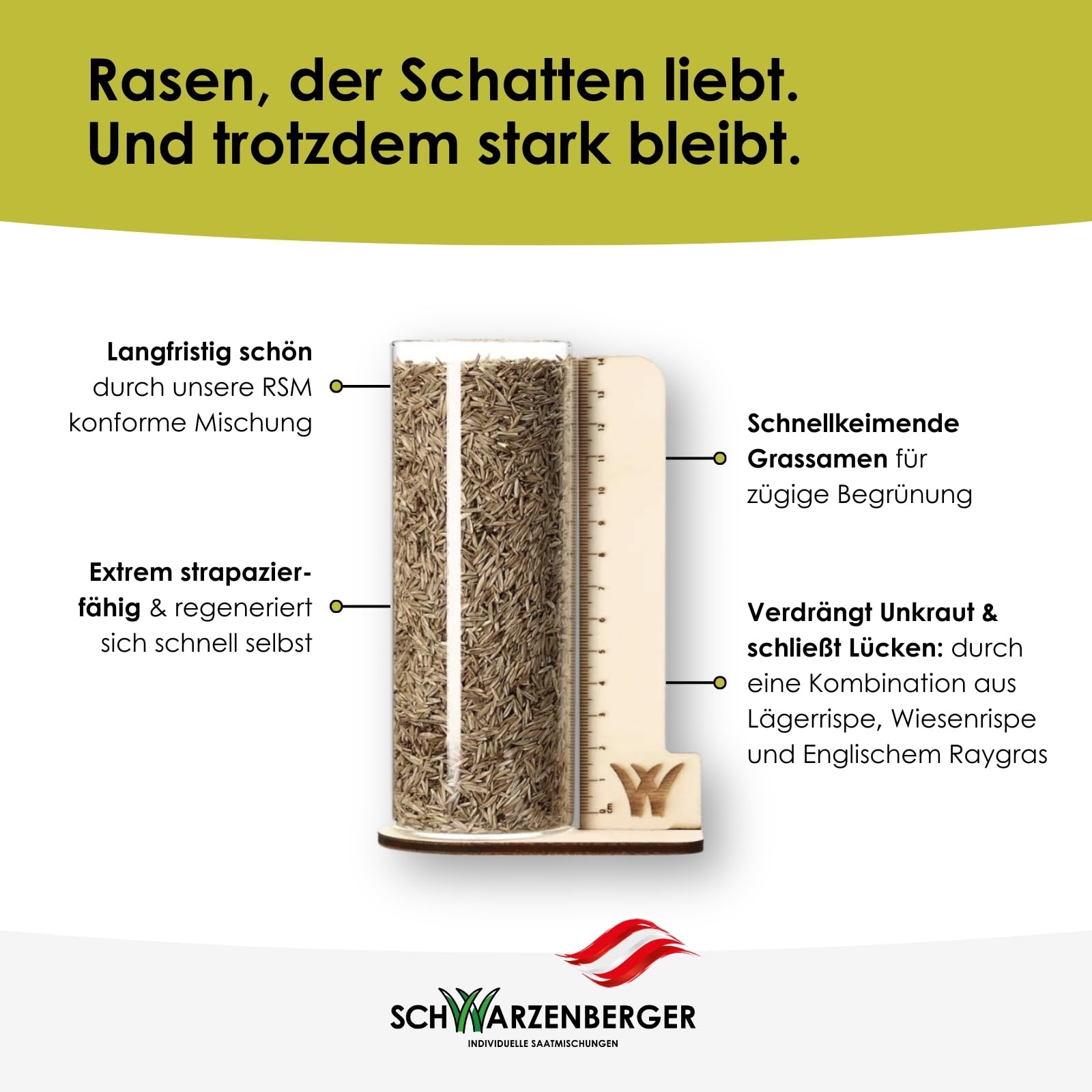 Samen Schwarzenberger I Poa Supina Rasensamen I 1 kg für 200 m² I 50% Poa Supina Anteil I dichter Rasen ohne Moos I schattenverträglich & tiefschnittverträglich I Schattenrasen