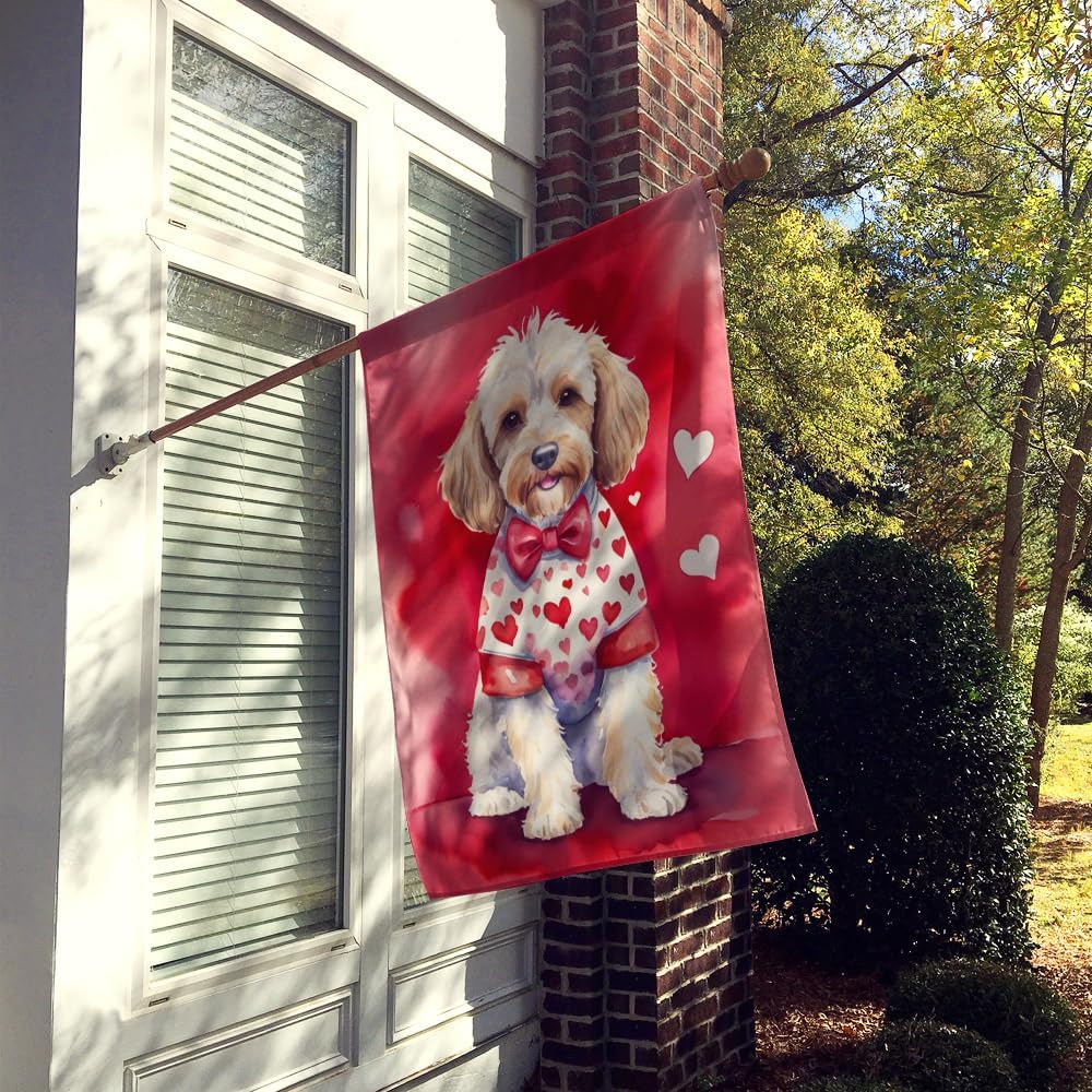 Caroline's Treasures DAC5320CHF Cockapoo My Valentine House Flag Large Porch Sleeve Pole Decorative Outside Yard Banner Artwork Wall Hanging, Polyester, House Size, Multicolor