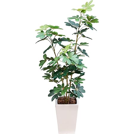 Amazon Co Jp 神戸花物語 Kobe Flower Story フェイクグリーン 観葉植物 造花 大型 ナチュラル カポックツリー シェフレラ Tb970 15 高さ160cm Ct触媒加工済 白鉢 Diy 工具 ガーデン