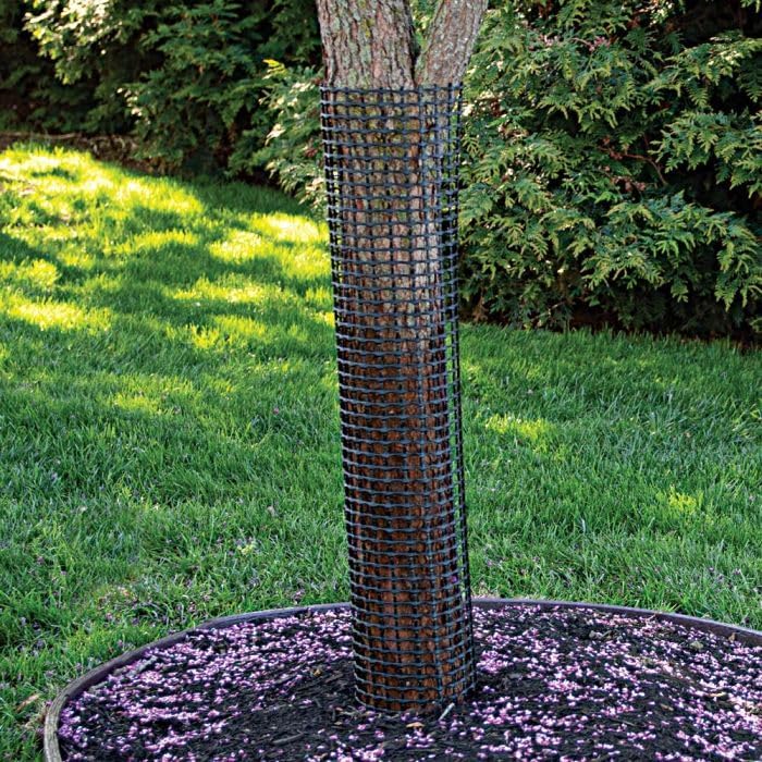 A.M. Leonard Rigid Mesh Tree Guards, 6-Inch Diameter, Bundle of 5 (48-Inch Length)