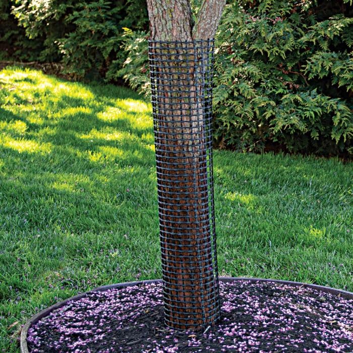 Amazon.com : A.M. Leonard Rigid Mesh Tree Guards, 6-Inch Diameter