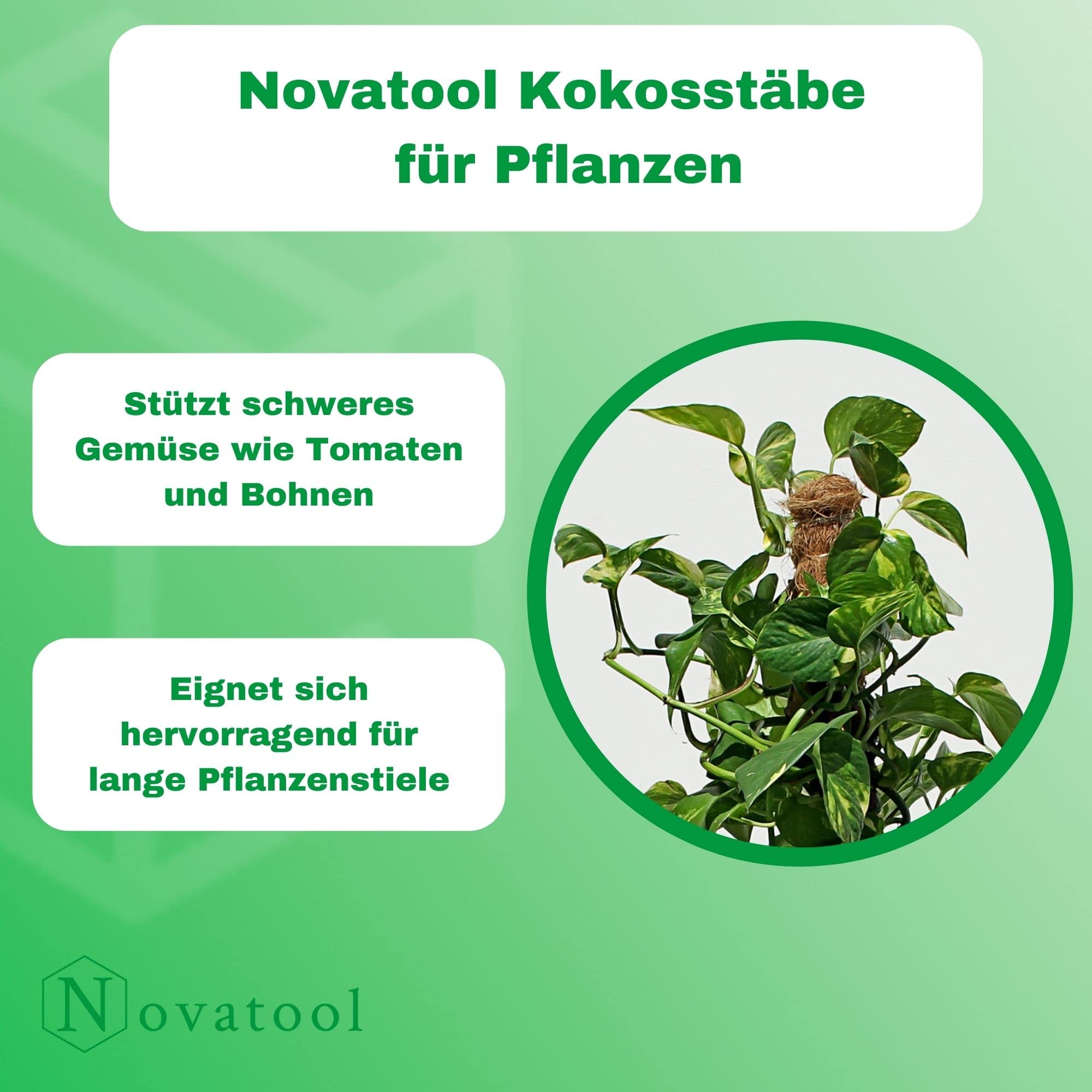 Novatool 4X Pflanzstäbe Kokos 60+110 cm I Ø 45mm I verlängerbar I natürlicher Kokosfaser I Rankhilfe Monstera deliciosa Moosstab Kokosstäbe