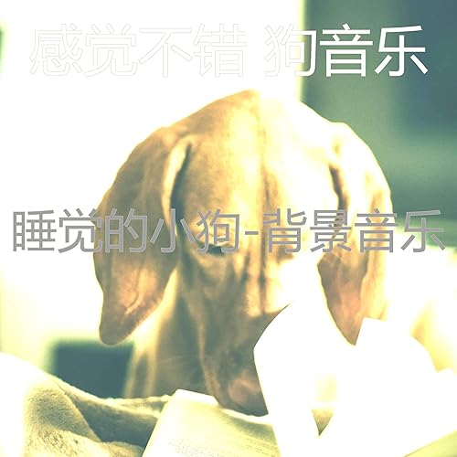 睡觉的小狗 背景音乐by 感觉不错狗音乐on Amazon Music Amazon Com