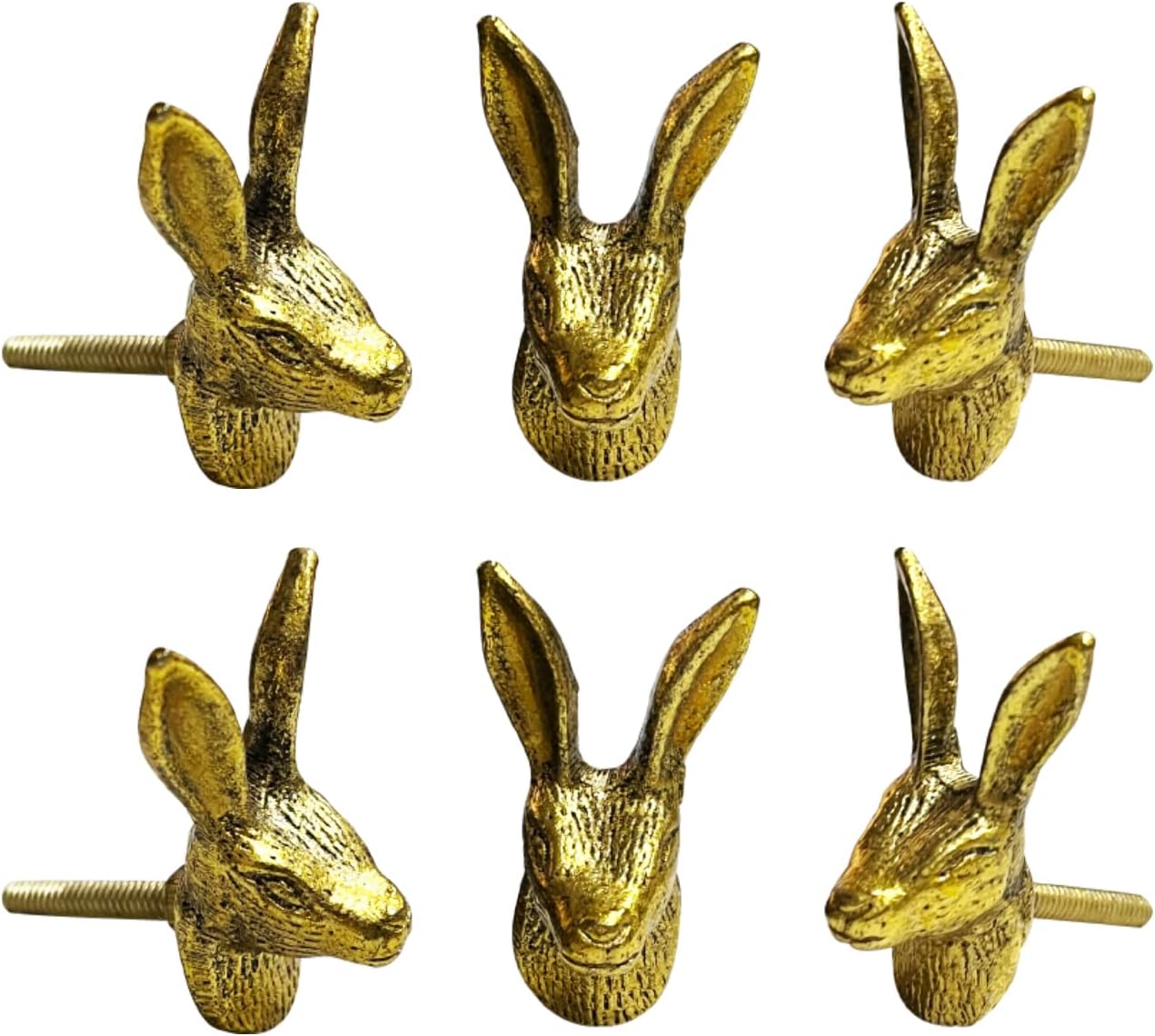 Perilla Home Dinasaur Design Brass Door Knobs - Cupboard Drawer Dresser Kitchen Cabinet Wardrobe Pulls