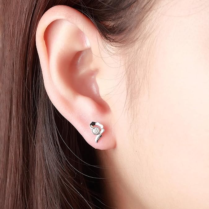 Diamond Stud Earrings, Ear Earrings for Women White Gold Round Shape Stud Earrings Unique 0.06ct Diamond for Valentine's Day