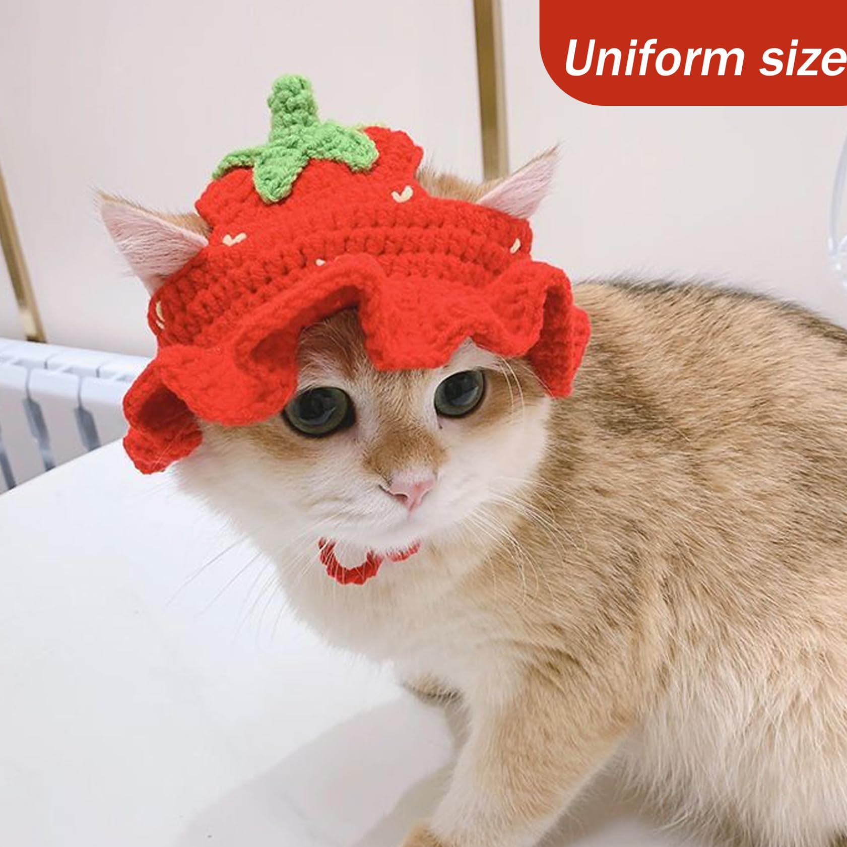 andwang ♡ Fluffy cat knit hat 【公式通販】