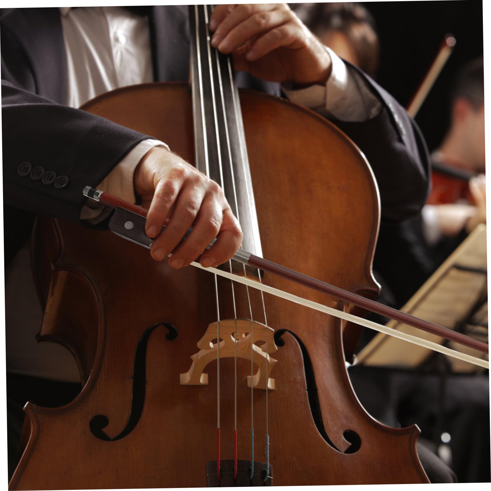 Archetto per Violoncello in Legno Brasiliano Crini | Studenti e Principianti, Marrone Semplice, Applicazione Facile, Tono Gradevole