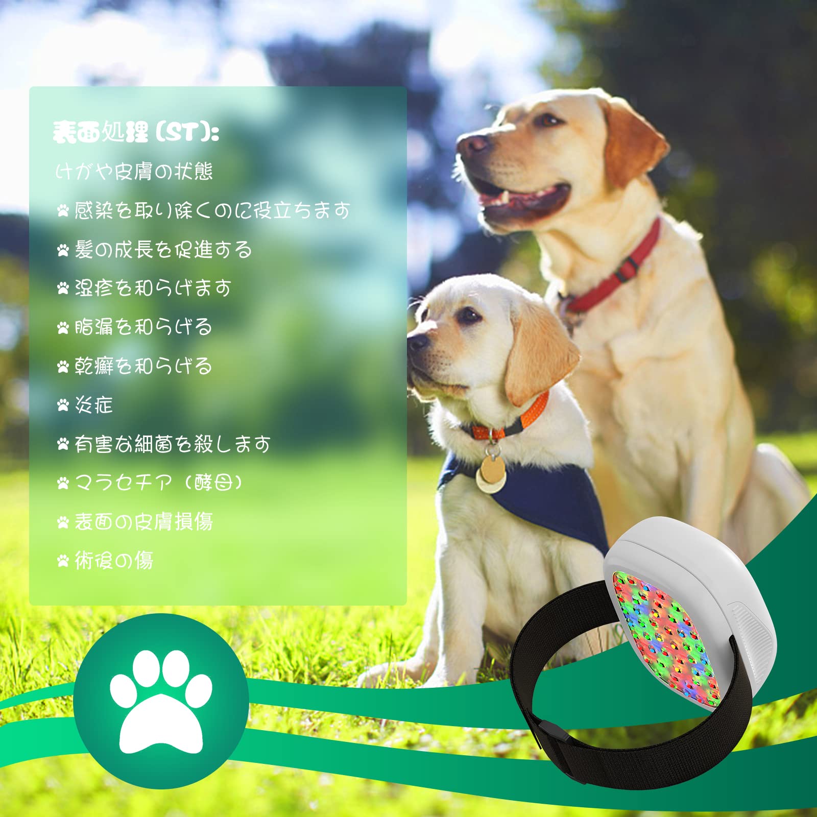 Amazon.co.jp: 動物用レーザー 赤色ledスーパーライザー 犬 猫