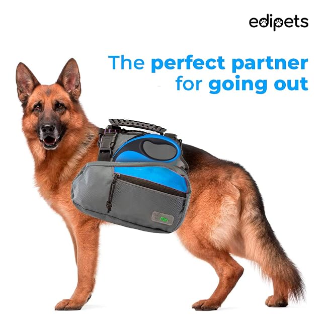Foto 5 de 6 de Edipets, Correa Perro Extensible, Retráctil, 5 y 8 Metros, Cinta Flexible para Adiestramiento y Paseo